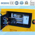 OEM Price Yandong Engine 10kw Diesel Generator